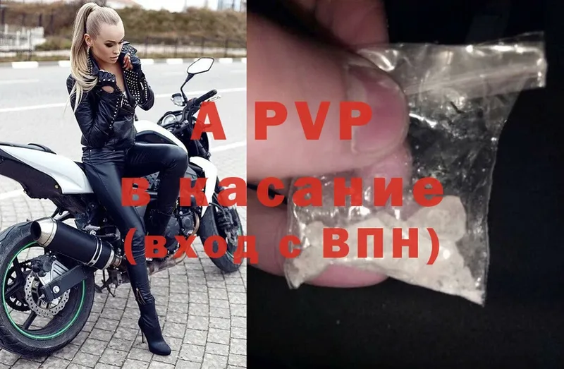 A PVP СК КРИС  Соликамск 